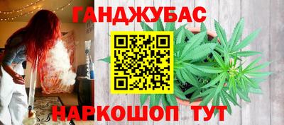 МДПВ Гагарин