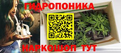 эйфоретик Волжский